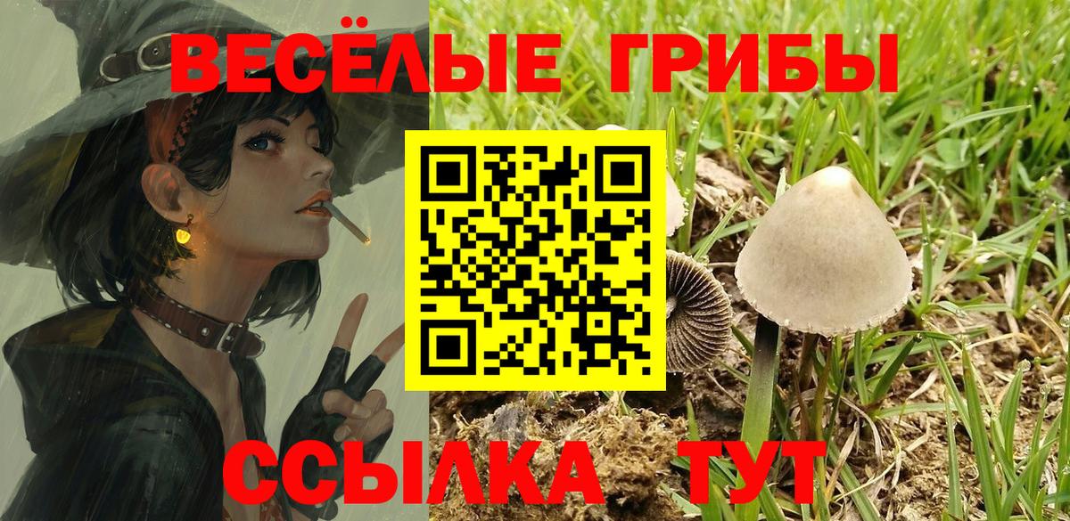 Псилоцибиновые грибы GOLDEN TEACHER Учалы