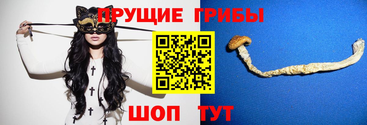 Учалы  где продают   Вход с VPN  Галлюциногенные грибы мухоморы 
